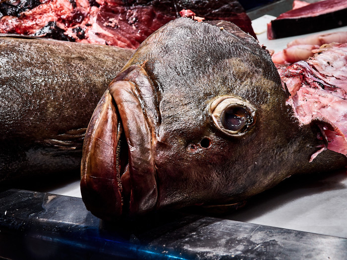 01-Pc09-2022-06-18 10.07.53